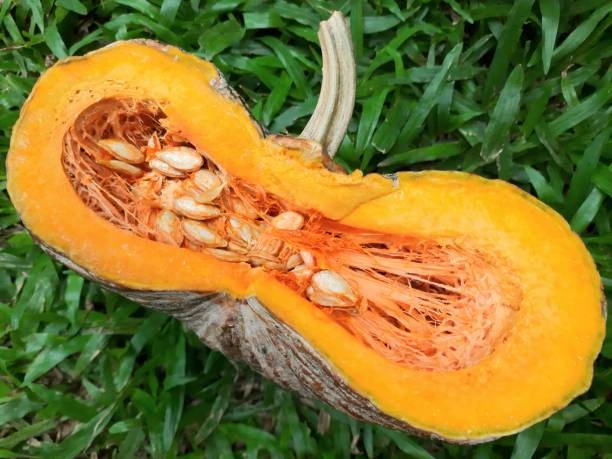 Calabaza (lb)'s foto | El Lago de Oli S.U.R.L |  BizneCubano
