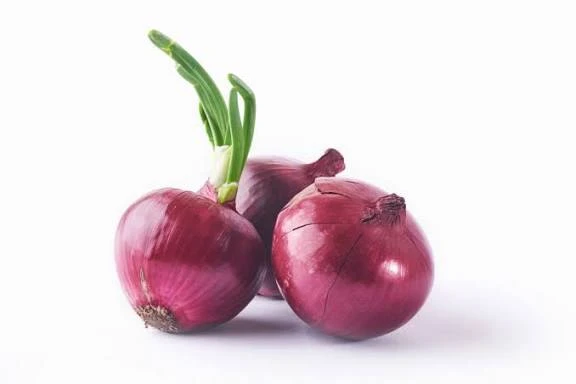 Cebolla morada (unidad)'s foto | El Lago de Oli S.U.R.L |  BizneCubano